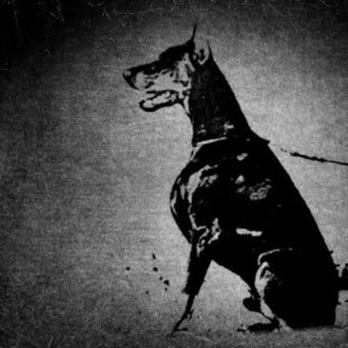 สมาชิกหมายเลข 5301583