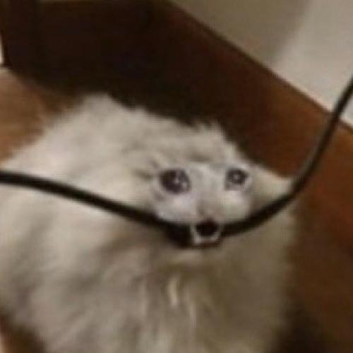 สมาชิกหมายเลข 4861788