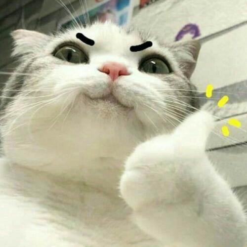 สมาชิกหมายเลข 5636736