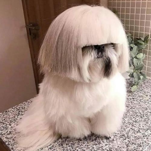 สมาชิกหมายเลข 5832345