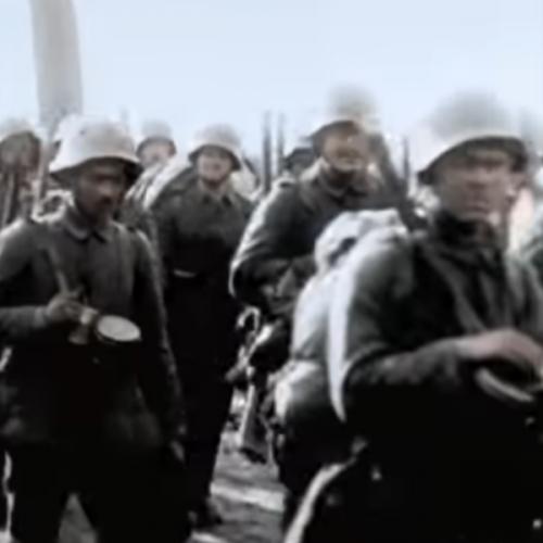 สมาชิกหมายเลข 6575514