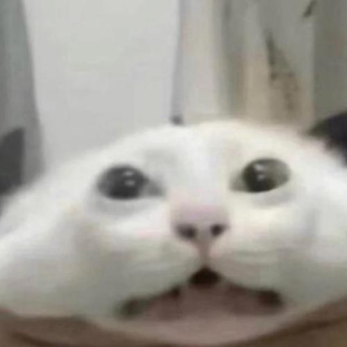 สมาชิกหมายเลข 7095646