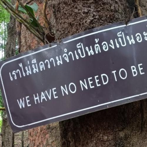 สมาชิกหมายเลข 6972317