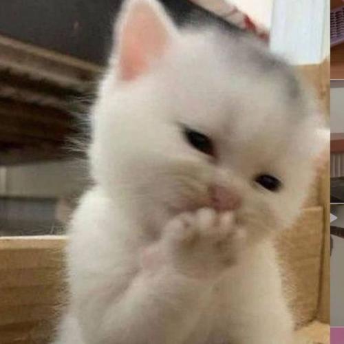 สมาชิกหมายเลข 8921541