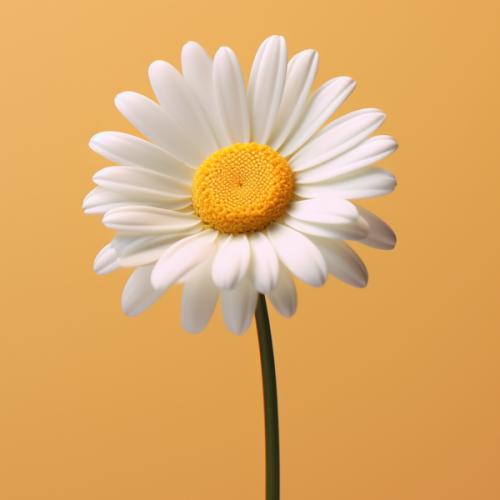 สมาชิกหมายเลข 8938079