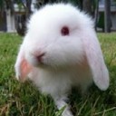 สมาชิกหมายเลข 990638