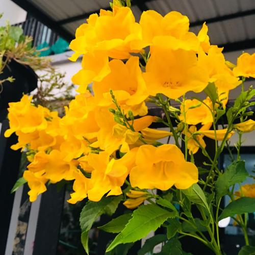 สมาชิกหมายเลข 857813