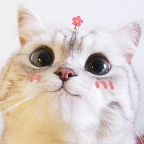 สมาชิกหมายเลข 1652296