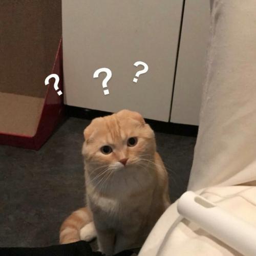 สมาชิกหมายเลข 2978047