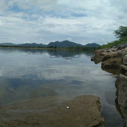 สมาชิกหมายเลข 4500933