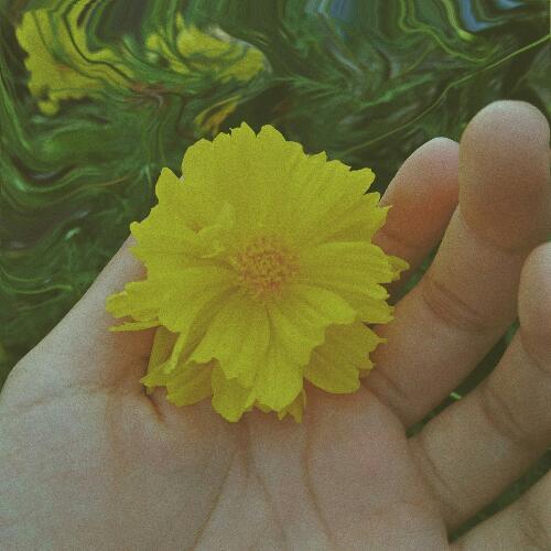 สมาชิกหมายเลข 4955556