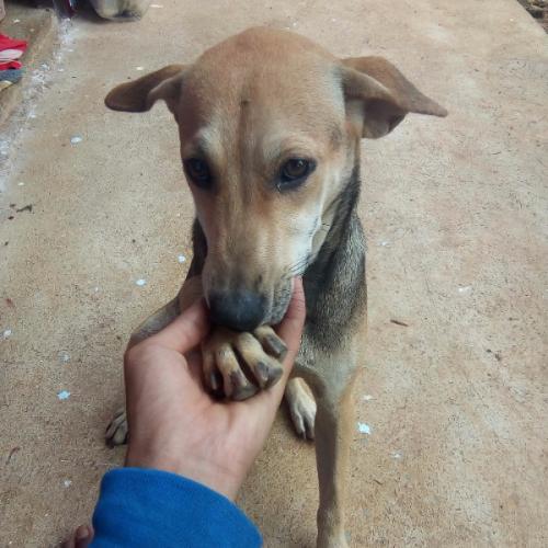 สมาชิกหมายเลข 4955564