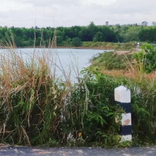 สมาชิกหมายเลข 1211644