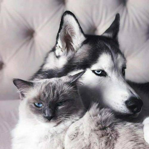 สมาชิกหมายเลข 3671318