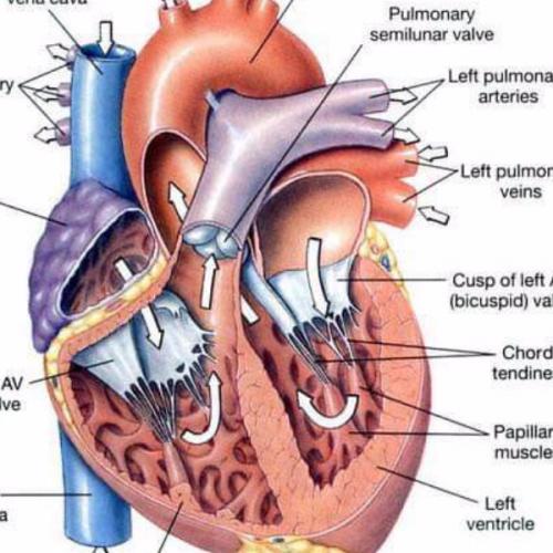 สมาชิกหมายเลข 5832448