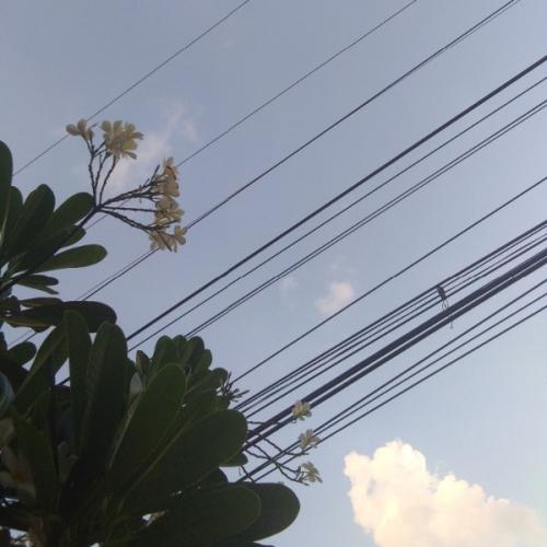 สมาชิกหมายเลข 5832707