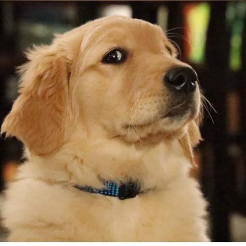 สมาชิกหมายเลข 3810603