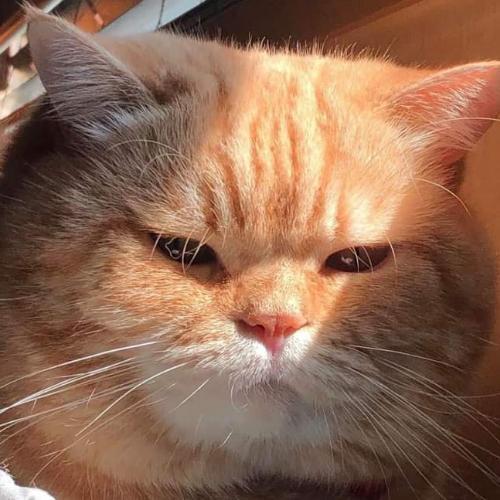 สมาชิกหมายเลข 6593831