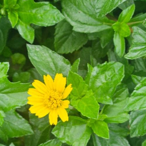 สมาชิกหมายเลข 8939968