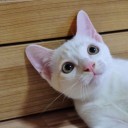 สมาชิกหมายเลข 1916319