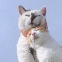 สมาชิกหมายเลข 4207047