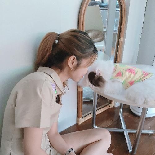 สมาชิกหมายเลข 9367410