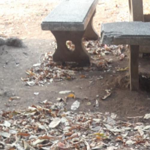 สมาชิกหมายเลข 4539144