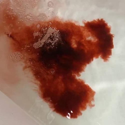 สมาชิกหมายเลข 5245292