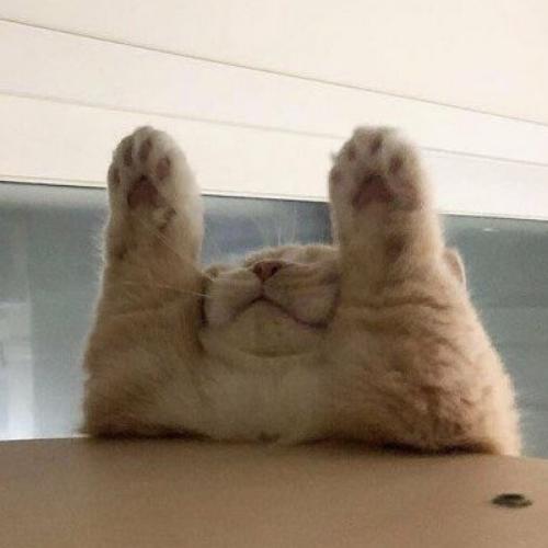 สมาชิกหมายเลข 5499815