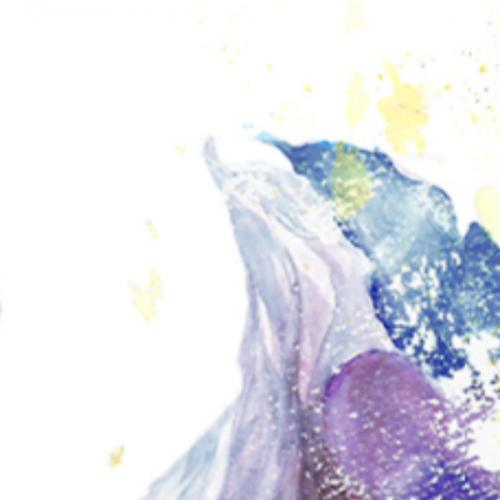 Aglaonema & The Wine Keg