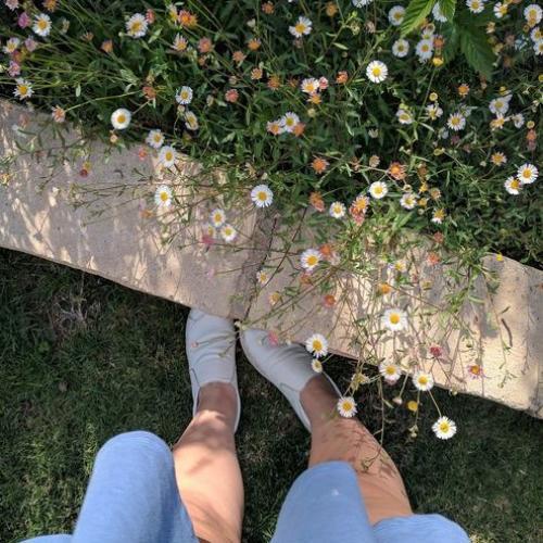 สมาชิกหมายเลข 5833326