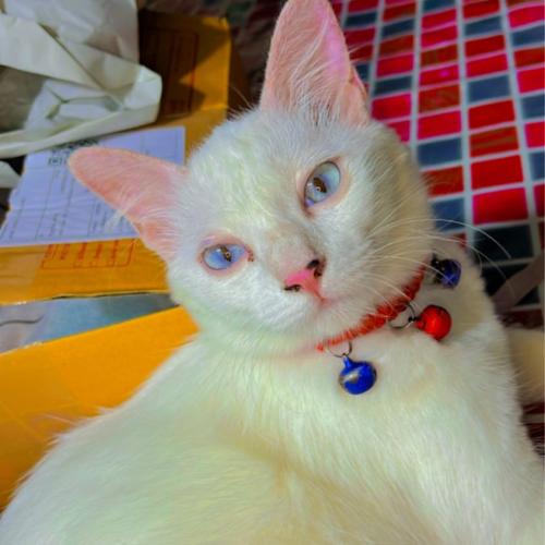 สมาชิกหมายเลข 7103912