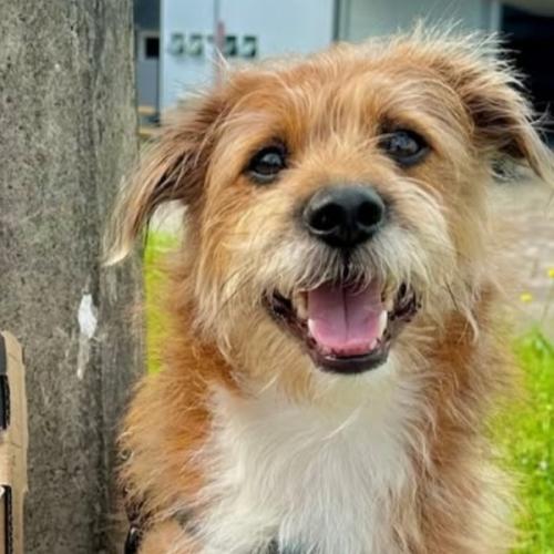 สมาชิกหมายเลข 7716750