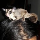 สมาชิกหมายเลข 3744394