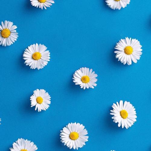 สมาชิกหมายเลข 3064251