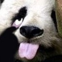 สมาชิกหมายเลข 3450227