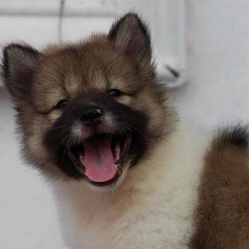 สมาชิกหมายเลข 3966091