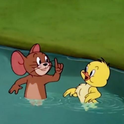 สมาชิกหมายเลข 5085457