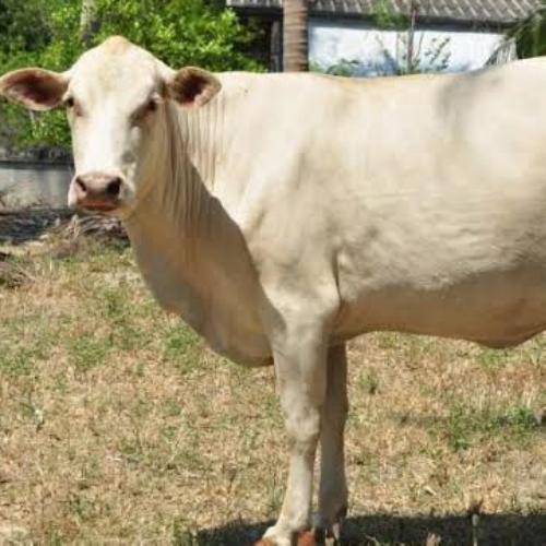 สมาชิกหมายเลข 5739071