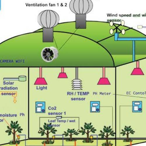 สมาชิกหมายเลข 5739406