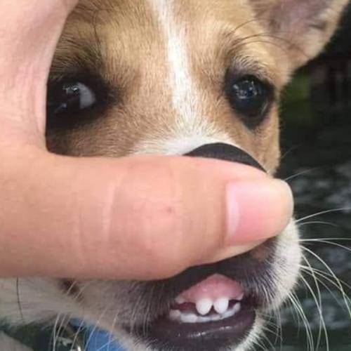 สมาชิกหมายเลข 5833828