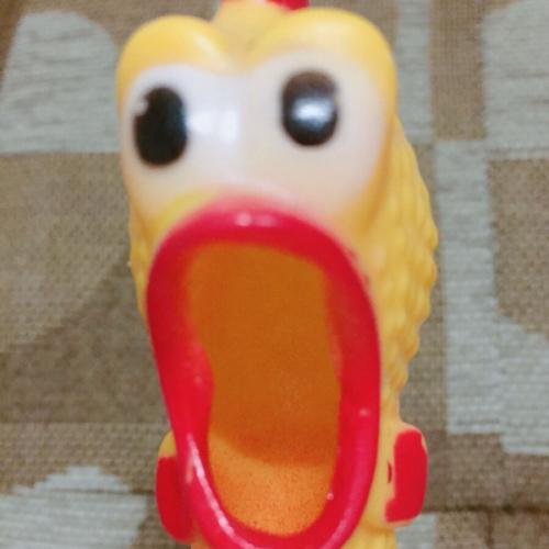 สมาชิกหมายเลข 5833948