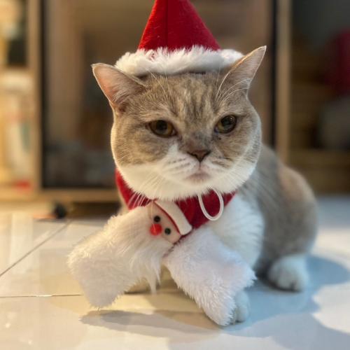 สมาชิกหมายเลข 7921840