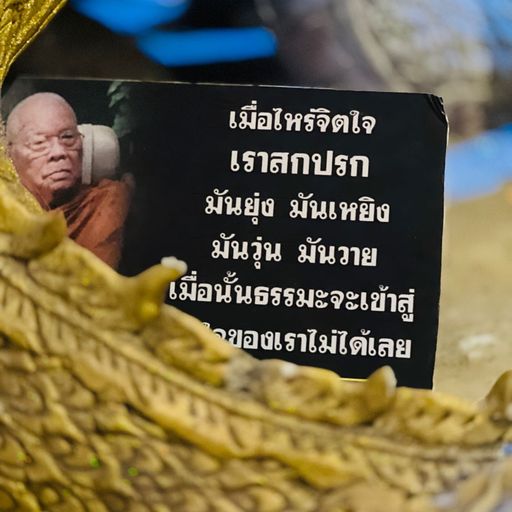 สมาชิกหมายเลข 9173718
