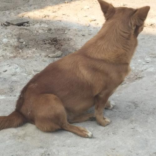 สมาชิกหมายเลข 4605565