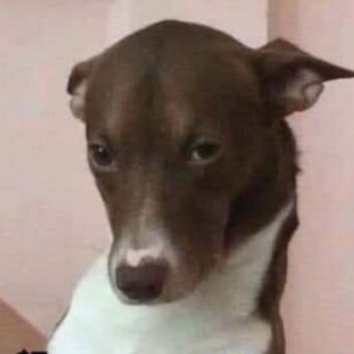 สมาชิกหมายเลข 3765928