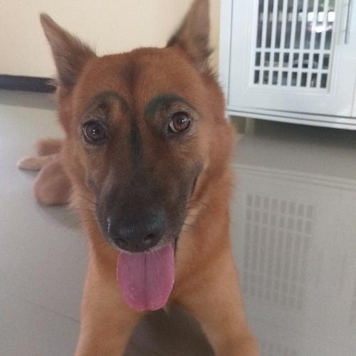 สมาชิกหมายเลข 5354174