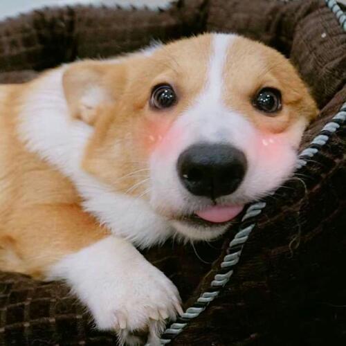 สมาชิกหมายเลข 5354178