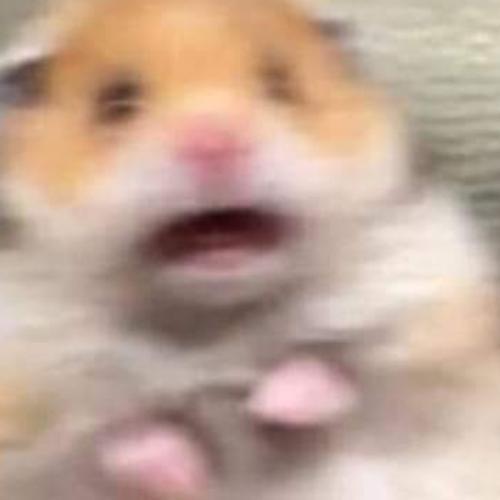 สมาชิกหมายเลข 4464751