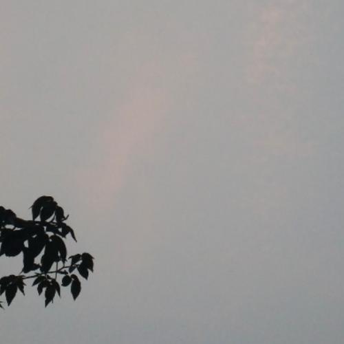 สมาชิกหมายเลข 5799594